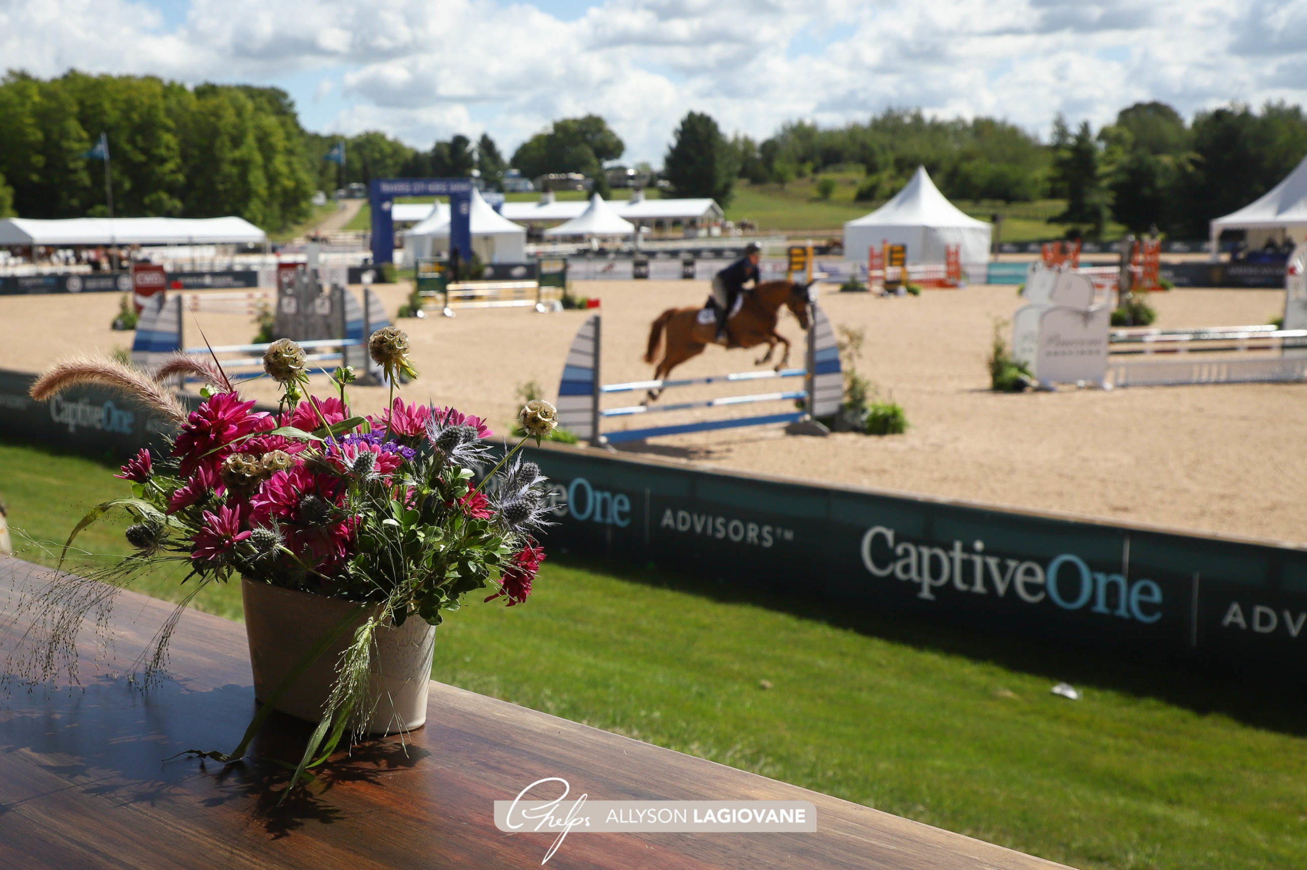Reserve Your VIP Club Spot for 2021 Traverse City Horse Show Traverse