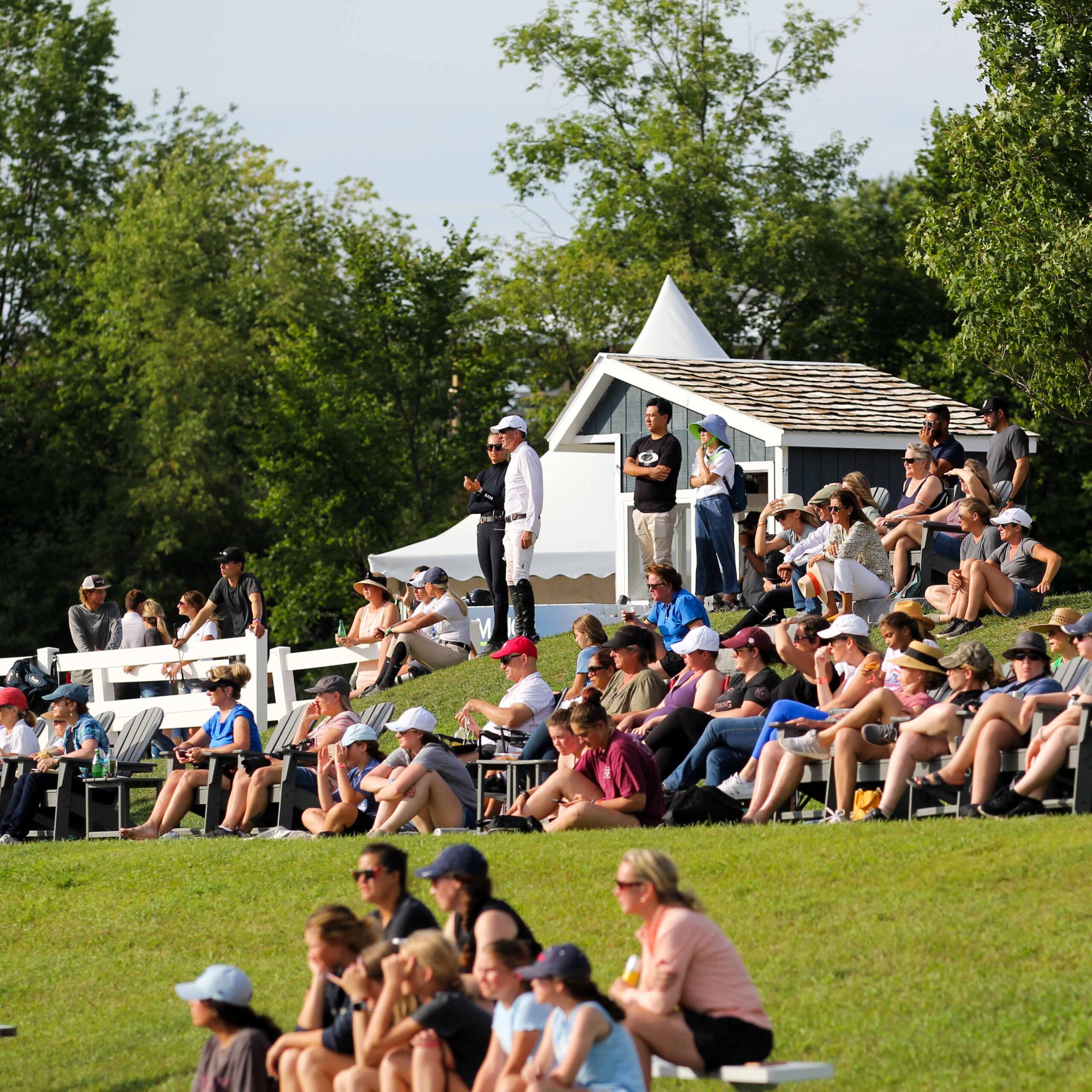 Flintfields Horse Park Traverse City Horse Shows
