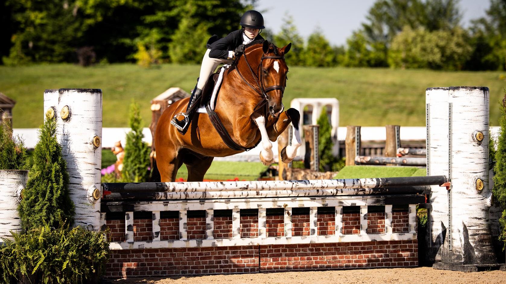 $25,000 Platinum Performance USHJA International Hunter Derby