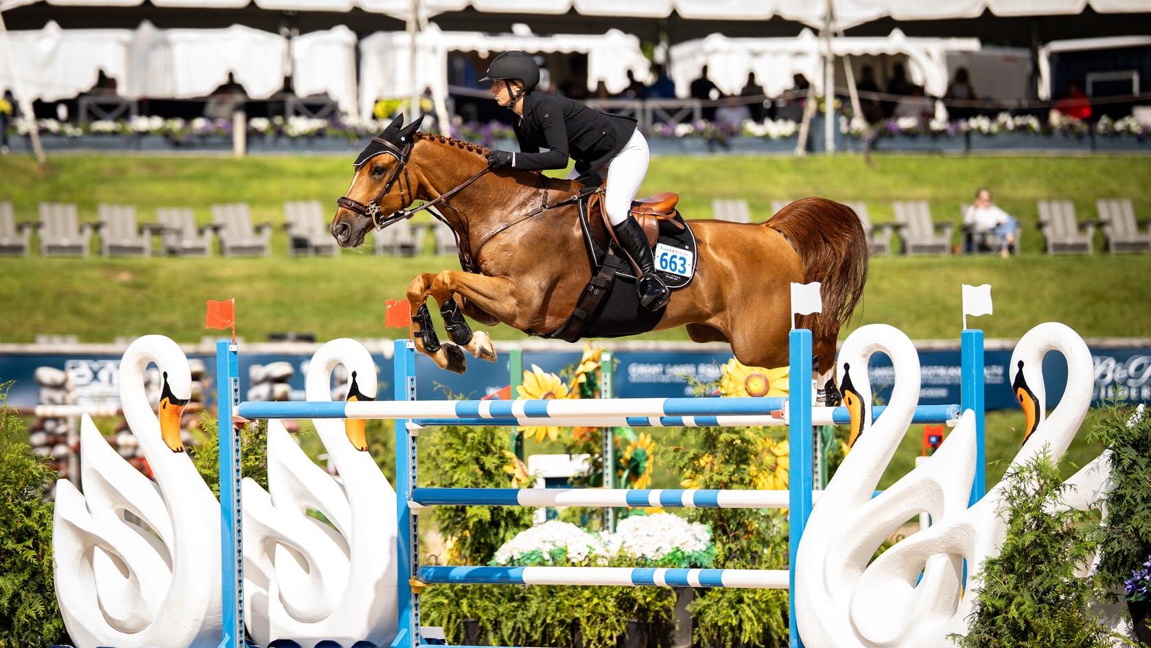 $31,100 Hippodata CSI*3 Welcome Stake